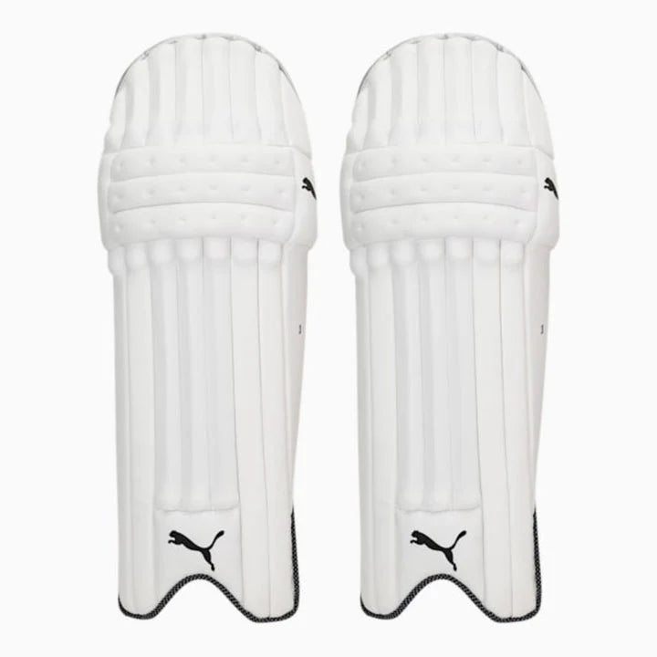 PUMA Future 3 Cricket Batting Pads