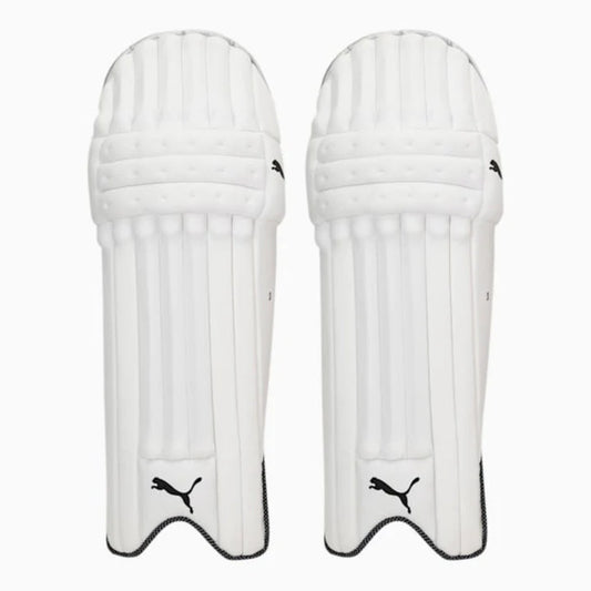 PUMA Future 3 Cricket Batting Pads